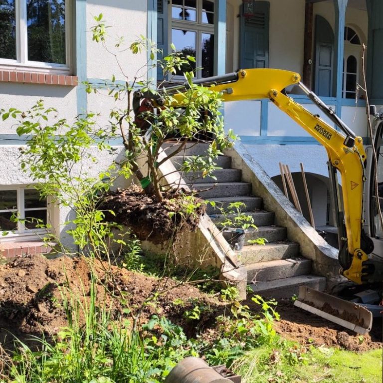 Heim- und Grünwerker, Pflanzungen, Aussaaten, Aussaat, Bepflanzung, Garten anlegen, Gartenneuanlage, Zittau, Löbau, Bautzen, Görlitz, Pflanzen, Gartengestaltung