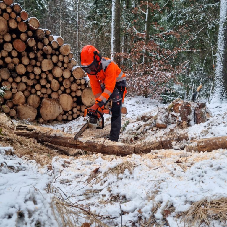 Baumfällung,Zittau, Löbau, Bautzen, Görlitz, Heim- und Grünwerker, Wald, Forst, Forstarbeit, Waldarbeit, Brennholz, Kaminholz, Feuerholz, Holz, Lieferung, Briketts, Holzlieferung, Brennstoffhandel, Holz, Brennholzerzeugung, Brennholzversorger, Holzlieferant, Brennholzlieferant