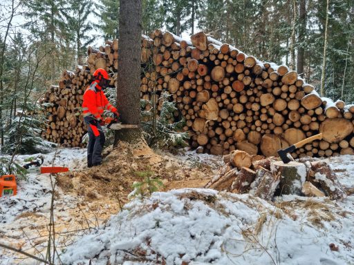 Baumfällung, Fällung, Bäume, Baum, Brennholz, Lieferung, liefern, Feuerholz, Kaminholz, sägen, fällen, Holz, Zittau, Löbau, Görlitz, Bautzen